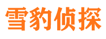 铁西侦探公司